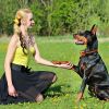 Dog Training Collar IP67 Waterproof Pet Beep Vibration Electric Shock Collar Rechargeable Transmitter Receiver Trainer w/ Remote